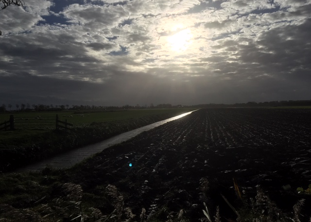 Licht
