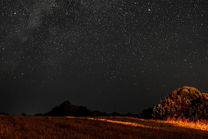 Fluistering in de nacht